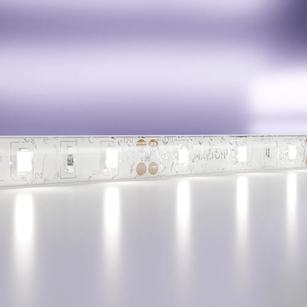 Led Strip Светодиодная лента 12В 2835 7,2Вт/м 6000K 5м IP65 20006 — главное фото товара