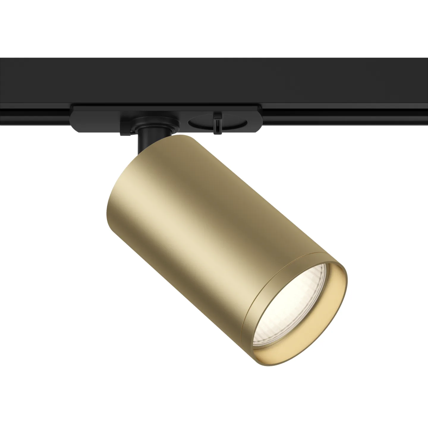 Maytoni Трековый светильник Focus Unity GU10 10Вт TR020-1-U-GU10-BMG — главное фото товара