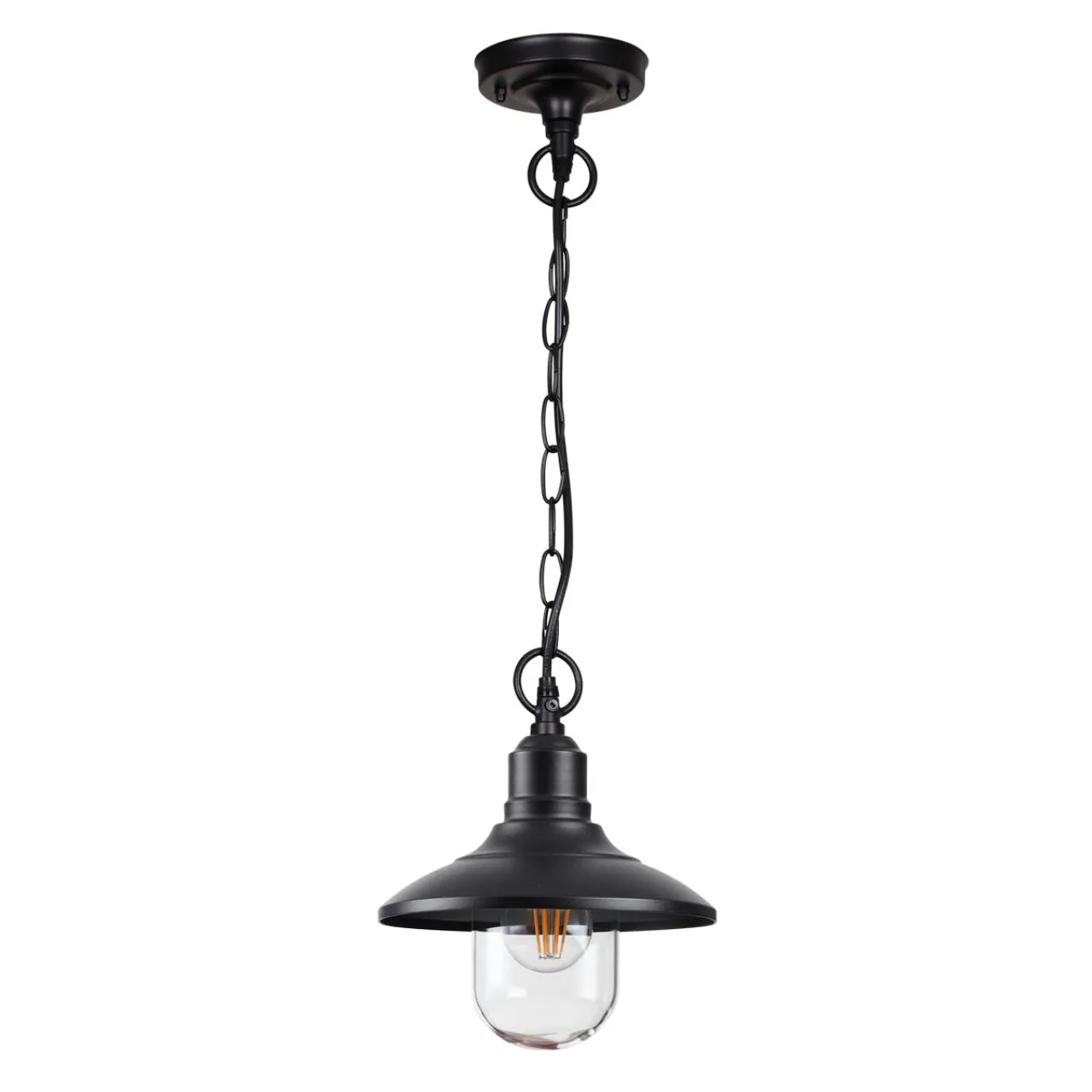 Odeon Light 4965/1 NATURE ODL22 713 черный/стекло Ландшафтный подвес E27 1*60W IP44 CAMPA — главное фото товара