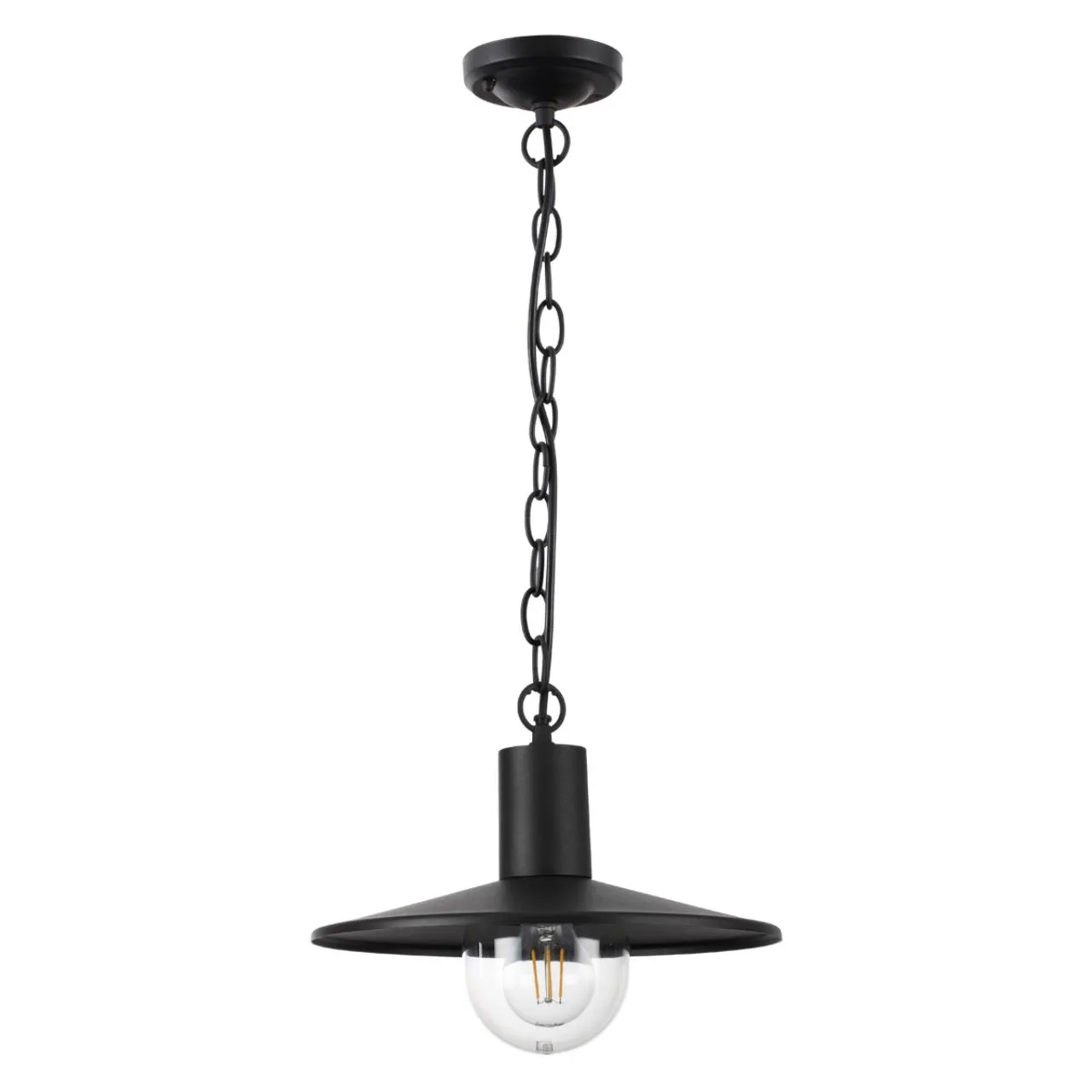 Odeon Light 4833/1 NATURE ODL21 711 черный/стекло Ландшафтный светильник-подвес E27 1*40W IP44 FURCADIA — главное фото товара