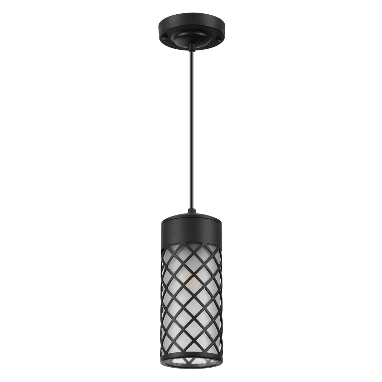 Odeon Light 4834/1 NATURE ODL21 706 черный/стекло Ландшафтный светильник-подвес E27 1*60W IP44 DUNES — главное фото товара